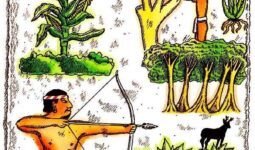 El cuidado al medio ambiente para los antiguos mexicanos