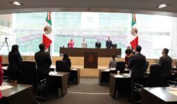 Aprueban Ley Kuri para proteger a menores en entornos digitales