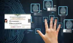 Miscelánea Nacional. Lo Importante, en Resumidas Cuentas