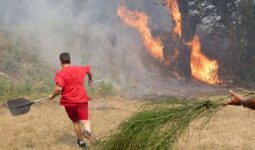 El fin del calor y la lluvia, se unen para apagar el fuego en España