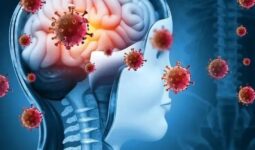 Una prueba molecular diagnostica rápidamente la meningitis