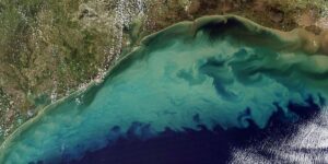 La Zona Muerta del Golfo de México
