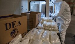 La DEA logra 617 arrestos contra el Cártel de Sinaloa en cinco días.