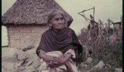 Luciérnaga María Sabina