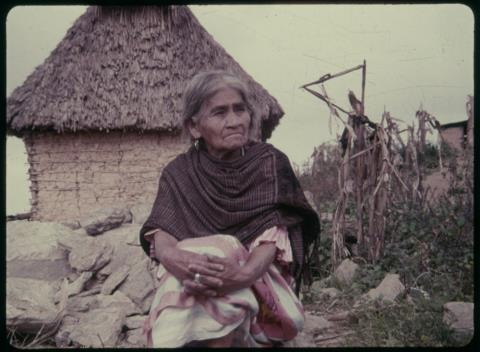 En este momento estás viendo Luciérnaga María Sabina
