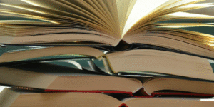 Diferencia entre literatura y subliteratura