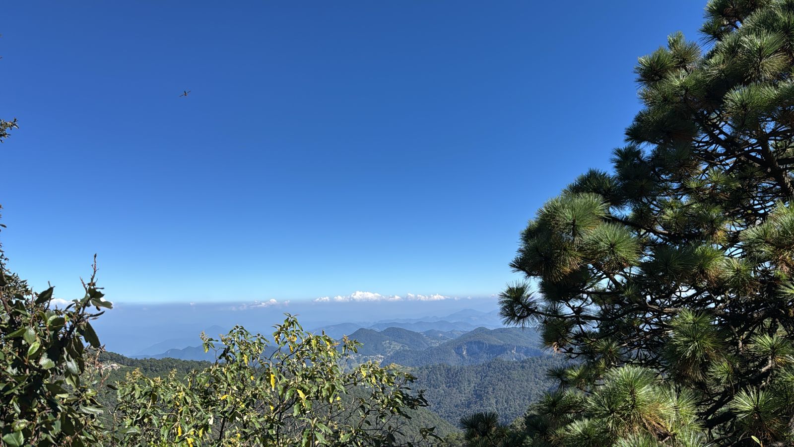 En este momento estás viendo Inicia entrega de apoyos a familias afectadas por lluvias en la Sierra Gorda: Bienestar federal distribuirá 20 mil pesos por vivienda censada