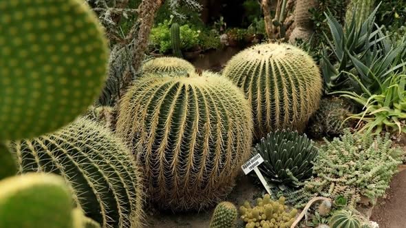 En este momento estás viendo Quinta Fernando Schmoll, 105 aniversario de su fundación