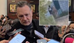 Denuncian presunto caso de maltrato a otro burrito; Gobernador pide que haya sanciones