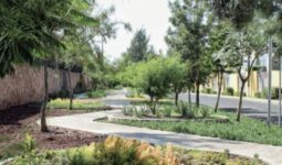 Desaparecerá parque lineal de Las Hadas por obras del tren México–Querétaro