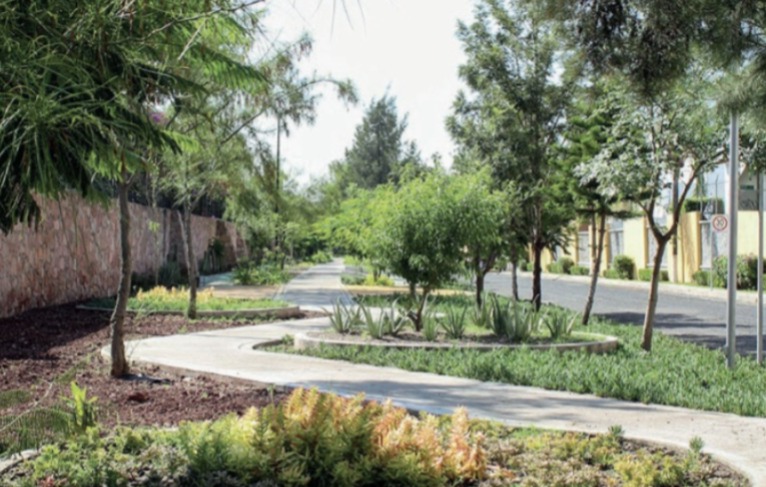 En este momento estás viendo Desaparecerá parque lineal de Las Hadas por obras del tren México–Querétaro