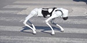 Presentan en Querétaro un “perrobot” que se integrará a tareas de seguridad