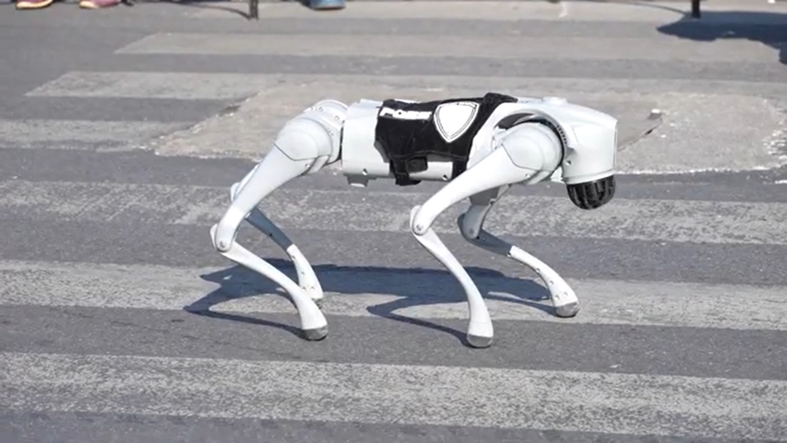 En este momento estás viendo Presentan en Querétaro un “perrobot” que se integrará a tareas de seguridad