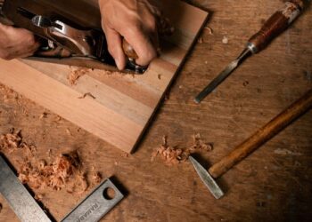 Origen de los carpinteros en México