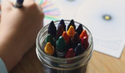 Buscan ampliar el programa “Acompañante Resiliente” para 2026