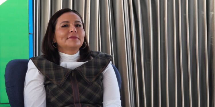 Querétaro sí distribuyó libros de texto, pero se revisan contenidos de manera constante