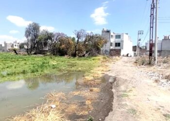 Denuncian afectaciones a la salud por malos olores en canal de aguas negras en la colonia La Joya