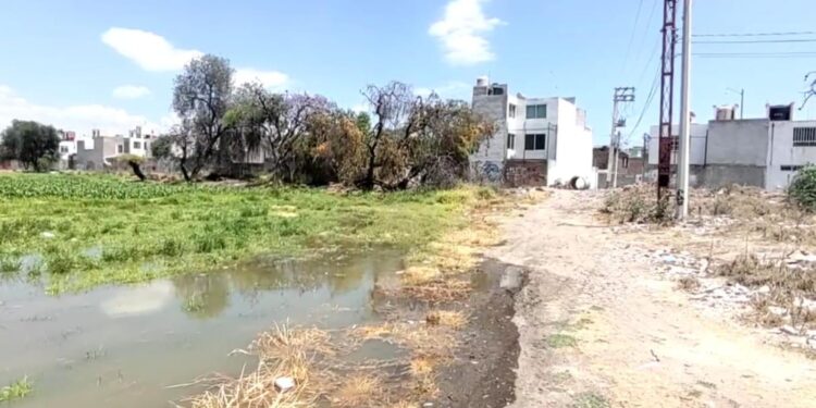 Denuncian afectaciones a la salud por malos olores en canal de aguas negras en la colonia La Joya