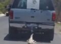 Municipio de Querétaro denuncia ante Fiscalía a responsable de amarrar a perrito en una camioneta