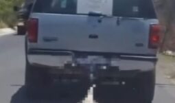 Municipio de Querétaro denuncia ante Fiscalía a responsable de amarrar a perrito en una camioneta