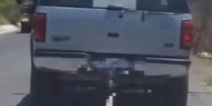 Municipio de Querétaro denuncia ante Fiscalía a responsable de amarrar a perrito en una camioneta