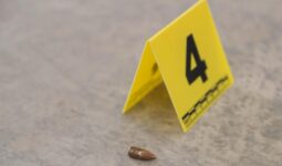 Transición democrática en México agravó la violencia del crimen organizado: Plancarte