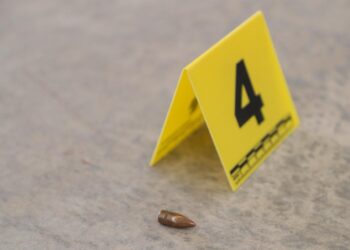 Transición democrática en México agravó la violencia del crimen organizado: Plancarte