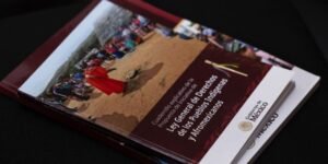 Ley de Derechos de Pueblos Indígenas y Afromexicanos