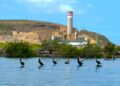 Pueblos sinaloenses contra planta de amoníaco