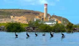 Pueblos sinaloenses contra planta de amoníaco