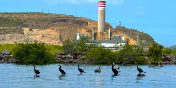 Pueblos sinaloenses contra planta de amoníaco