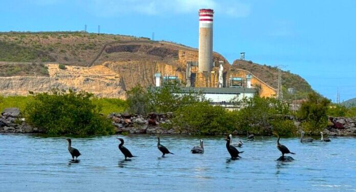 Pueblos sinaloenses contra planta de amoníaco