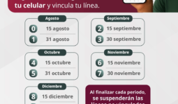 Hay ampliación de la vinculación de líneas celulares