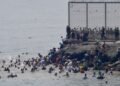 Grupos de WhatsApp promovieron la entrada a Ceuta