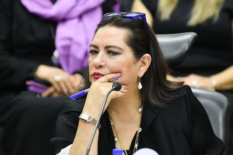 En este momento estás viendo Chofer con poder para pleitos y cobranzas