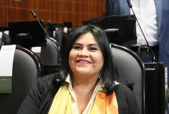El Senado pide aclaración de la ‘primera piedra’